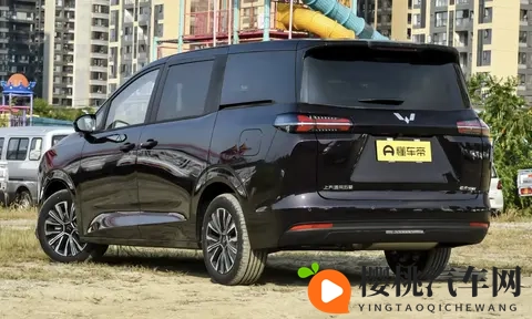 10万级MPV，油耗低，大空间，配舒享座驾-3