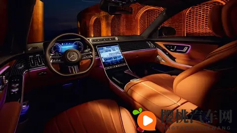 这才是梅赛德斯的味道!奔驰S级选买指南-1