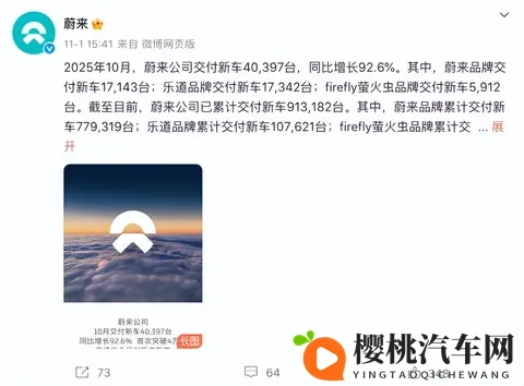 10月车企销量 黑马零跑破7万,巨头比亚迪狂揽44万-1