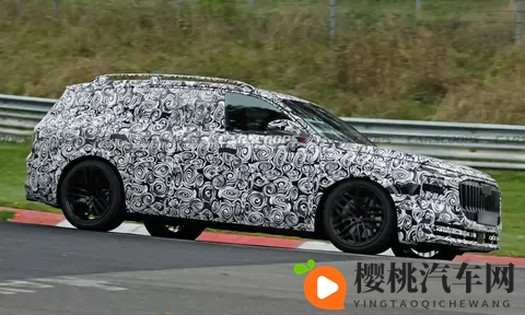 在“霸气”与“硬气”间:奥迪霍希首款SUV旗舰选择了“和气”!-3