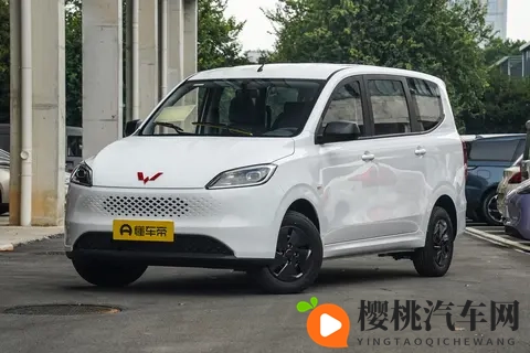 548万元起 新款五菱宏光家族上市 燃油_增程_纯电全都有-1