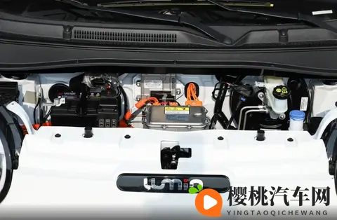 男女打扑克剧烈运动：男女激战扑克牌，运动热情高涨-3