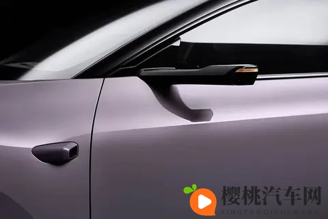 商务旅行中绿973蘑菇：商务之旅中邂逅奇香绿蘑菇-1