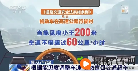 黑人无码进入亚洲娇小:亚洲市场新宠:黑人品牌汽车战略布局揭秘-2