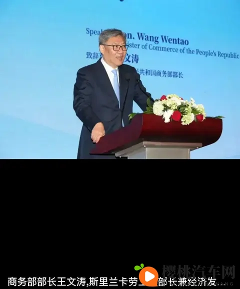 不装糊涂了？“欧洲车企还是担心：安世荷兰不给中国工厂晶圆”-3