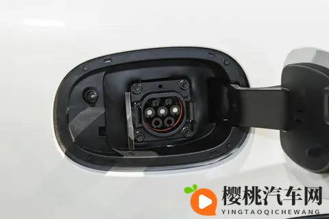 无尽 山雀 动漫 得到:漫影交织,探寻山雀传奇之旅-3