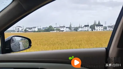 驾驶爱车闲逛的惬意谁懂啊-1