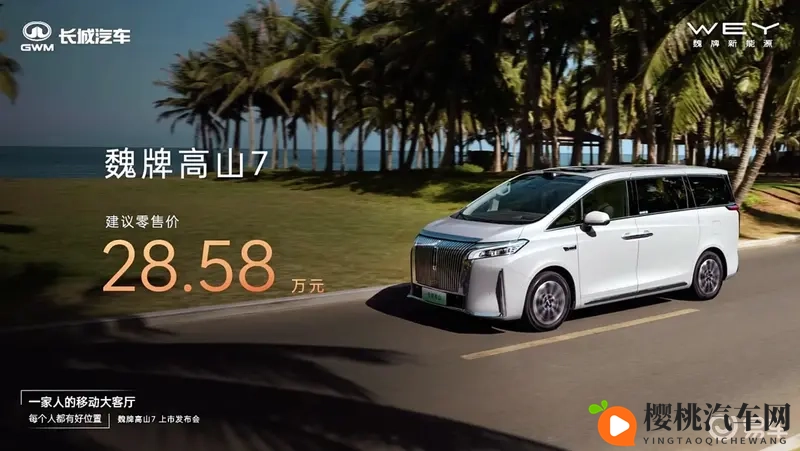 国产成年人:国产车崛起,成年人购车新选择-2