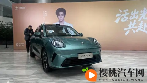 欧拉5预售：1098万元起的“光芒搭子”，能否照亮欧拉品牌的前路-3