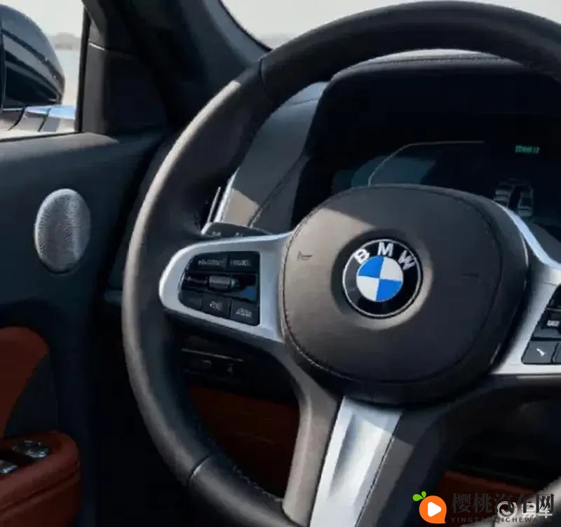 张柏芝的黑色:黑色潮流,汽车界的神秘贵族-2