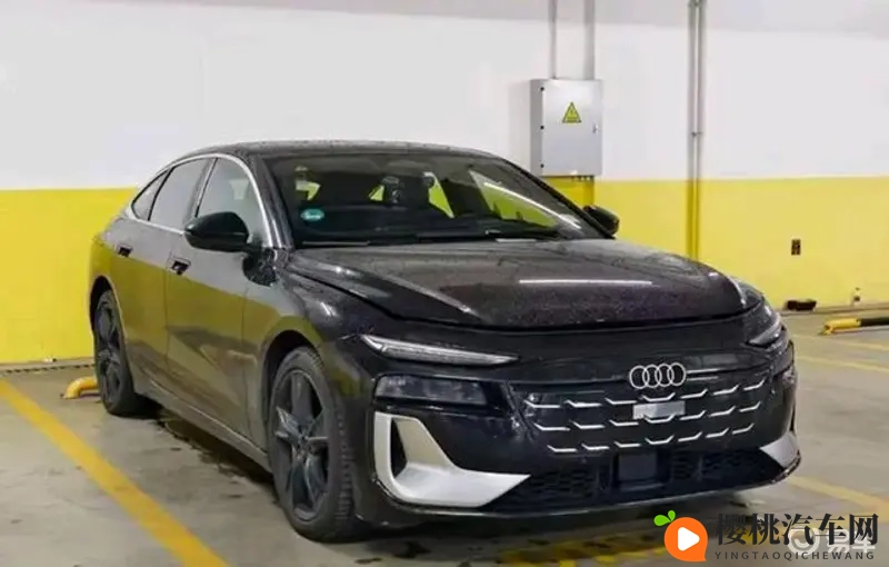 天天拍天天操:日复一日,拍摄与操练不停歇-2