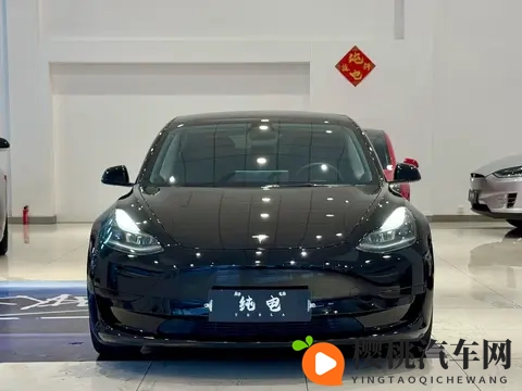 几个菜钱就能圆“特斯拉梦”？21年Model3抄底价！-2