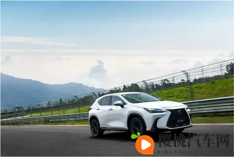 雷克萨斯不再高贵、不加价的雷克萨斯,广东人还能爱多久呢?-3