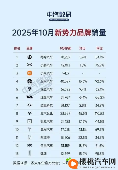 产品与政策双驱动,新势力银十销量激增。-1