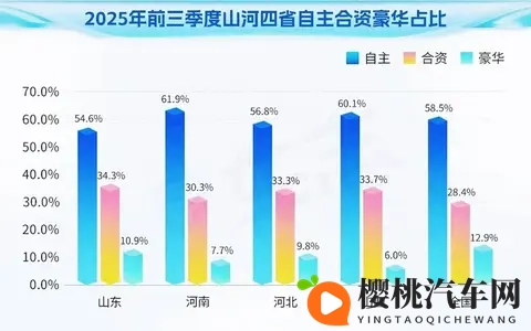 欧产 日产 国产精品98:欧美日造,国货之光,精选98款佳品-2
