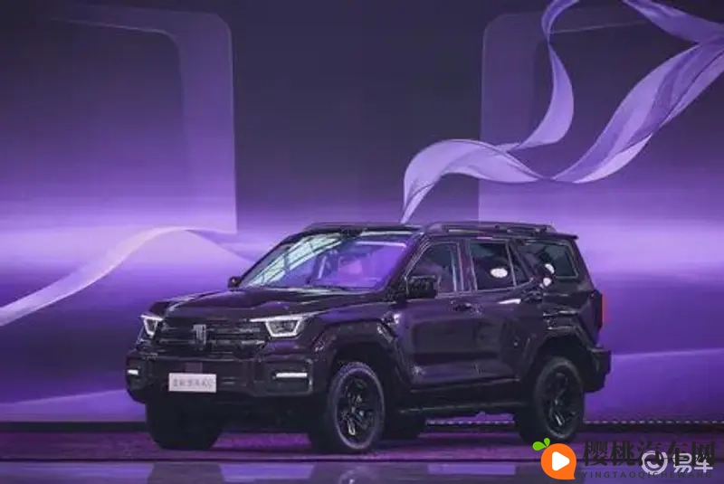 动态性交:性爱动作多变,激情四溢瞬间-2