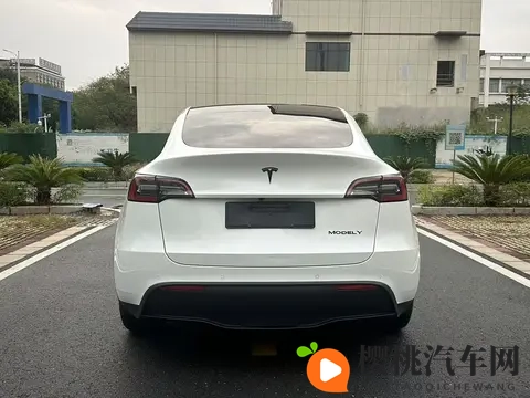 男男捆绑挣扎呻吟调教：男性紧密束缚，激烈扭动，低声呻吟，严格训练-2