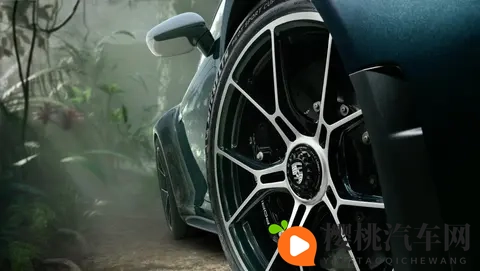 以自然景观为定制开发灵感,保时捷911 GT3 ‘Ocelot’正式发布-3