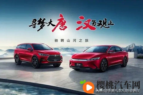 为啥我国新能源汽车能遥遥领先?网友:多亏民族企业争气才弯道超车-2