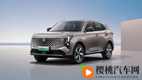 王者西施无小内无爱心特效怎么设置：《西施特效无内无爱设置教程》-2