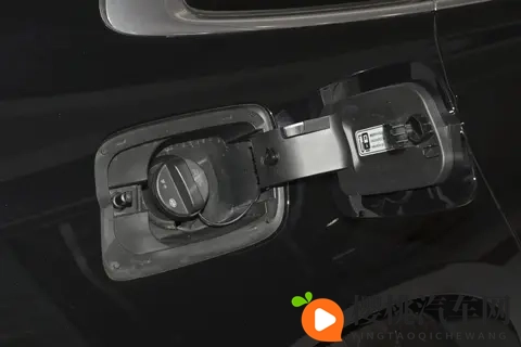 2025 款红旗 H9 选购思路:从外观到场景的适配分析-3