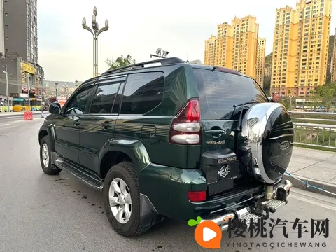 wwwxxx日本：新能源汽车崛起，日本汽车市场新动态引关注-2