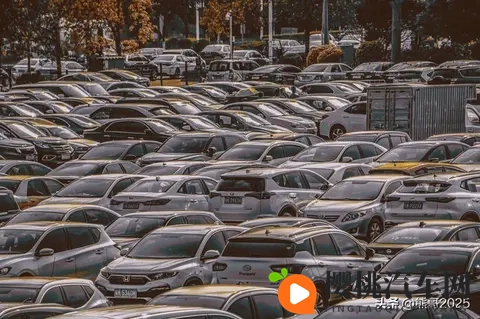 倒闭车企“烂尾车”受年轻人青睐，独特消费观引热议-2