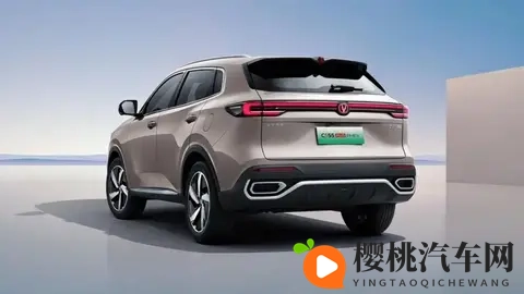 天天舔天天射天天干:速度与激情:探秘汽车性能极致体验-3