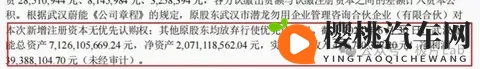 蔚来被诉之谜:起底5年盈利超6亿的神秘子公司-3