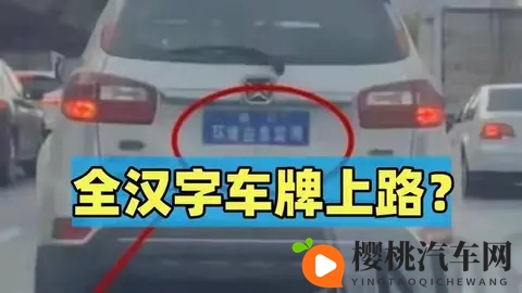 全汉字车牌上路被人举报？交警来到笑了：我真管不了-2
