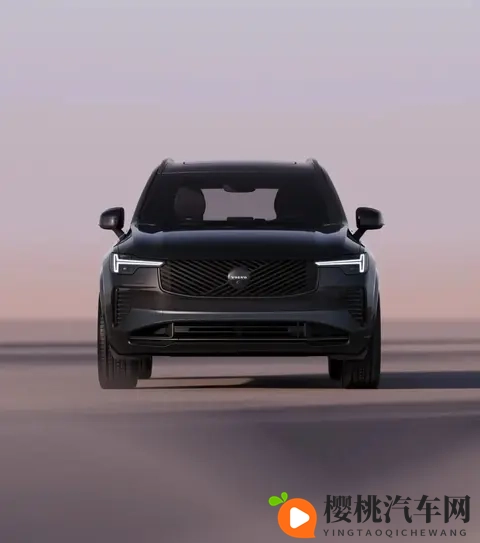 沃尔沃XC90暗夜版：拒绝“登”味-2