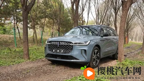 成人富二代:成年后的财富继承者-3