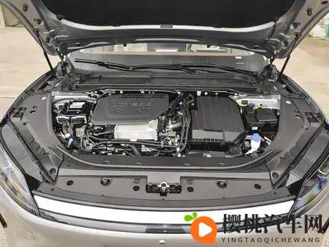 奇瑞风云A9L猎鹰700版_四座版将于11月15日上市-1