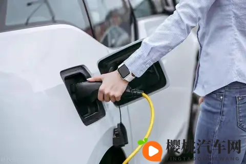 从油车换成电车，一年后才明白这2个道理，电池干不过油箱！-2