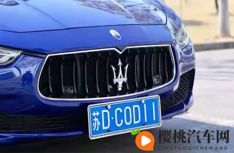 全汉字车牌上路被人举报？交警来到笑了：我真管不了-3