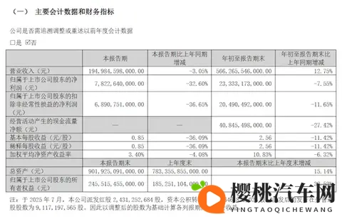 比亚迪发布第三季度财报,营收、利润下滑-1