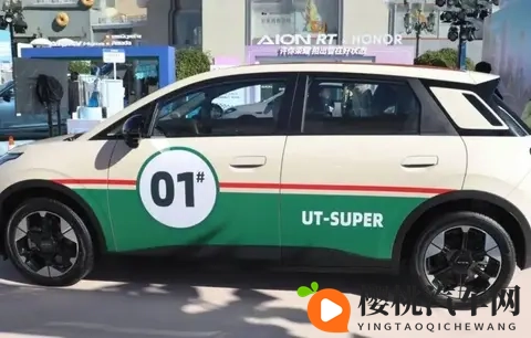 4万多元的京东“国民好车”上市,到底谁会哭晕在厕所-3