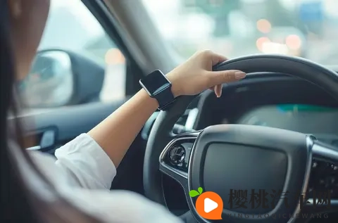 60岁以上司机注意！驾照新规“生死线”来了，错过直接注销！-2