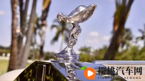 带镀金马桶的劳斯莱斯？126万欧元成交的定制传奇-3