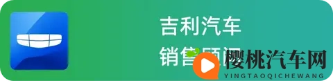 国产燃油车卖得怎么样?5位销售一起聊聊实际情况-2