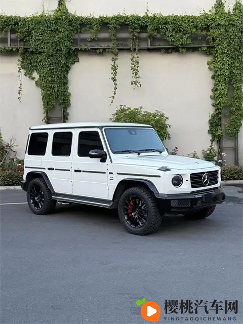 奔驰大G原厂20寸轮毂升级改装G63原厂AMG刹车卡钳6活塞批发代理-2