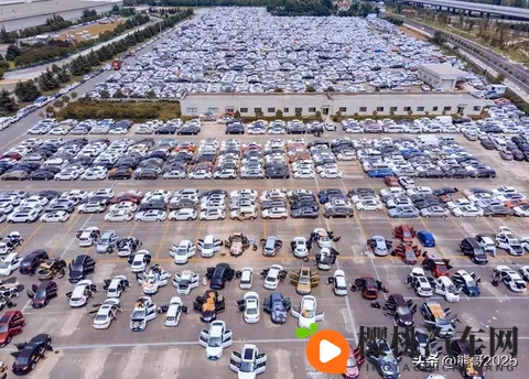 倒闭车企“烂尾车”受年轻人青睐，独特消费观引热议-3