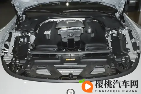 新车 售19248万元_配置调整,新款梅赛德斯-AMG GT 63 4MATIC+上市-3
