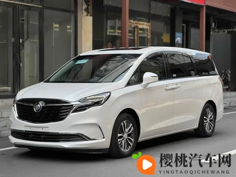 20万拿下宜商宜家神器,体验二手别克GL8陆尊!-1