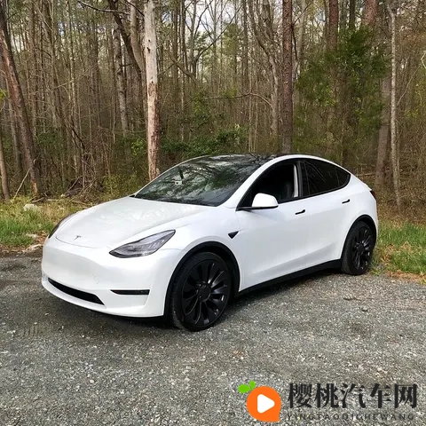 特斯拉 Model Y 新车型与国产竞品的全方位对比-2