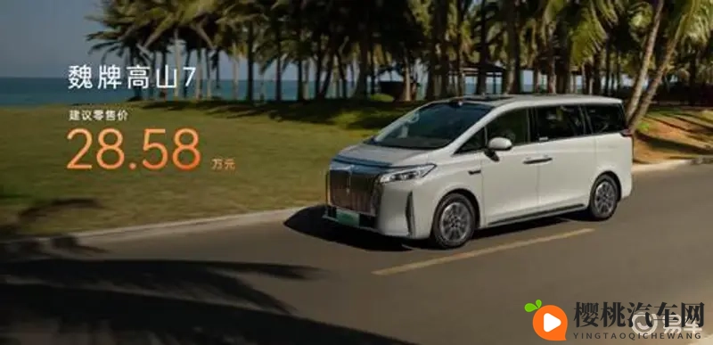 成人激情五月天:激情五月,成人狂欢盛宴-2