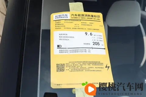 长安Lumin宝藏版：不同需求下的理想选择-2