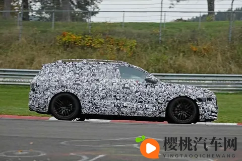 特斯拉王牌登场!Model Y长续航后驱版为何成焦点?-1