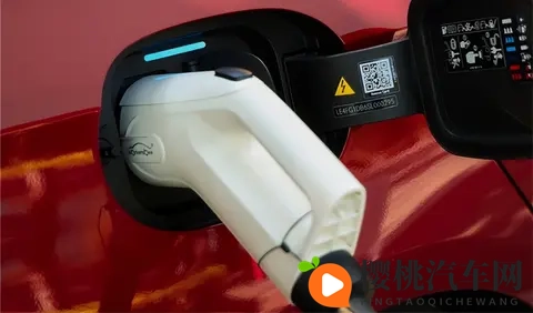 极端 针 拳头 极端 疼痛 改造：针拳改造，极致疼痛体验-2