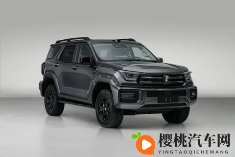 暴躁大妈2农场女儿攻略：大妈农场女儿独门秘籍：汽车生活新体验-3